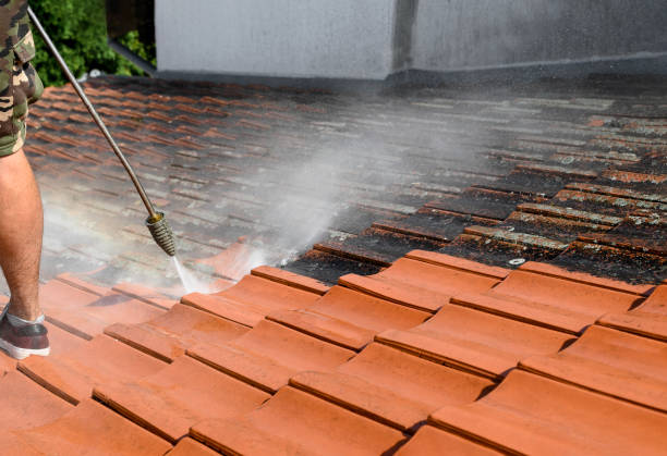 Best Residential Pressure Washing Services  in Lochsloy, WA