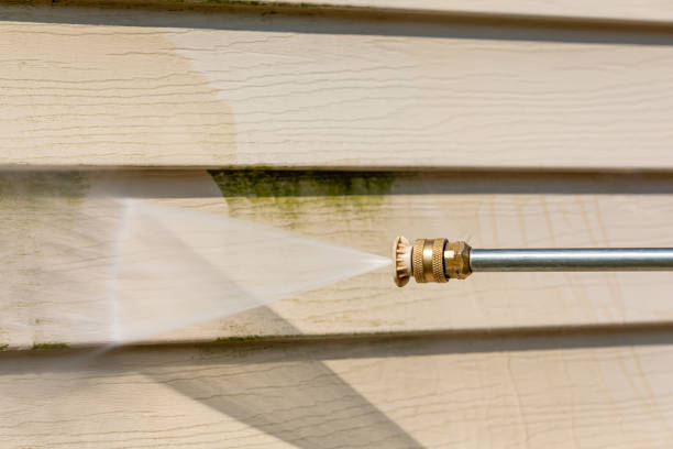Best Pressure Washing Siding  in Lochsloy, WA