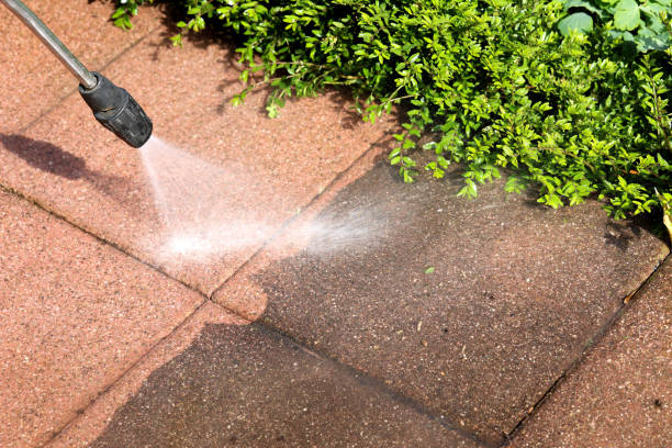 Best Sidewalk Pressure Washing  in Lochsloy, WA